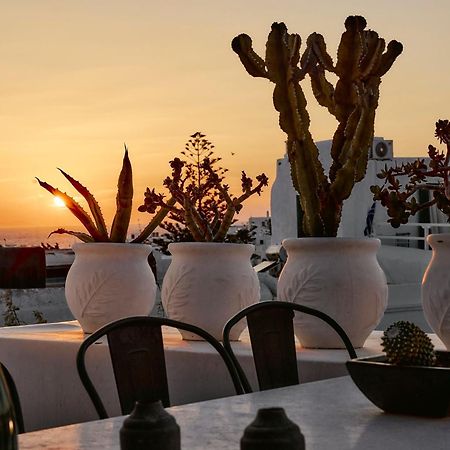 Elaia Luxury Suites Mykonos Mykonos Town Luaran gambar