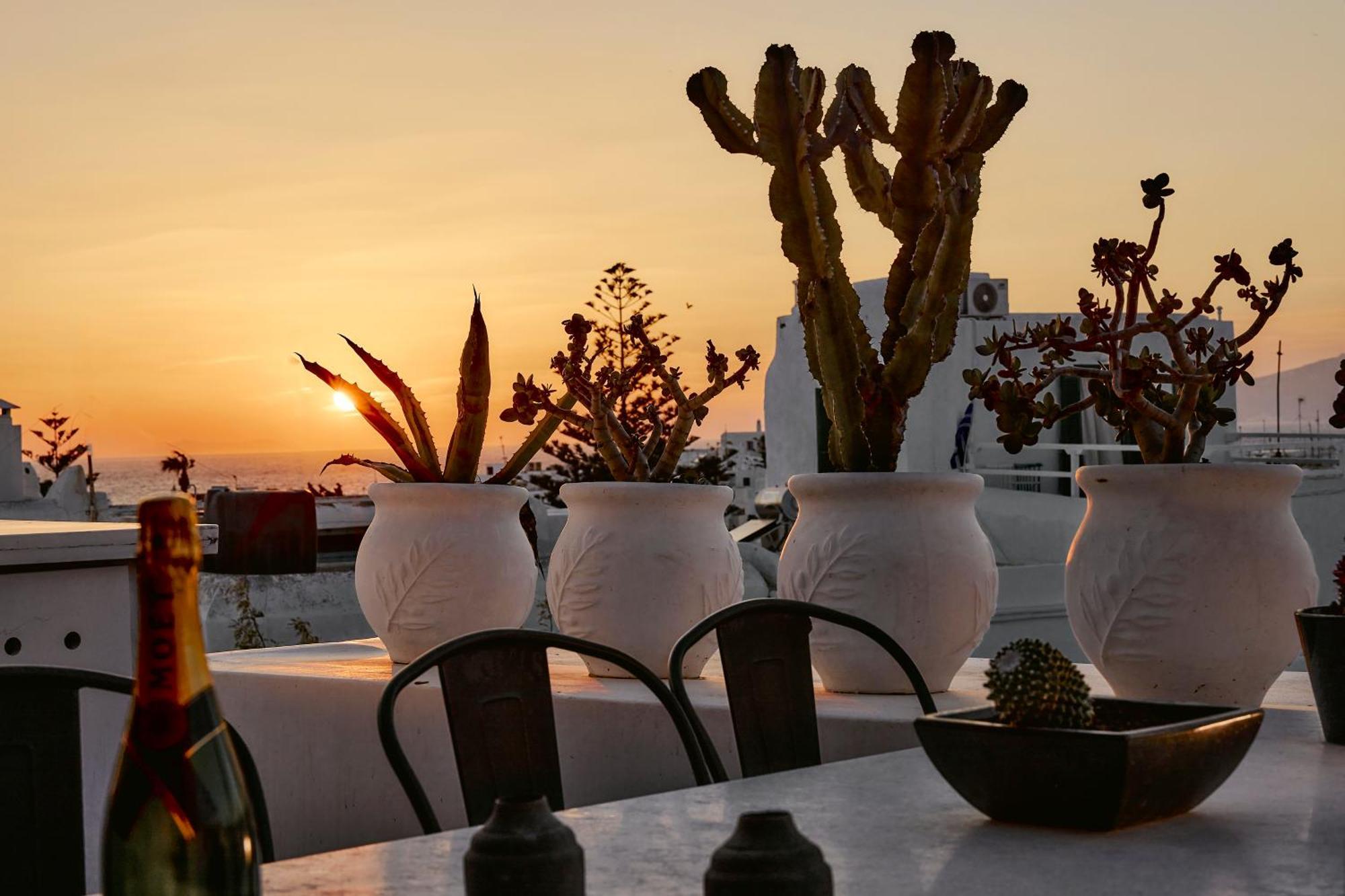 Elaia Luxury Suites Mykonos Mykonos Town Luaran gambar